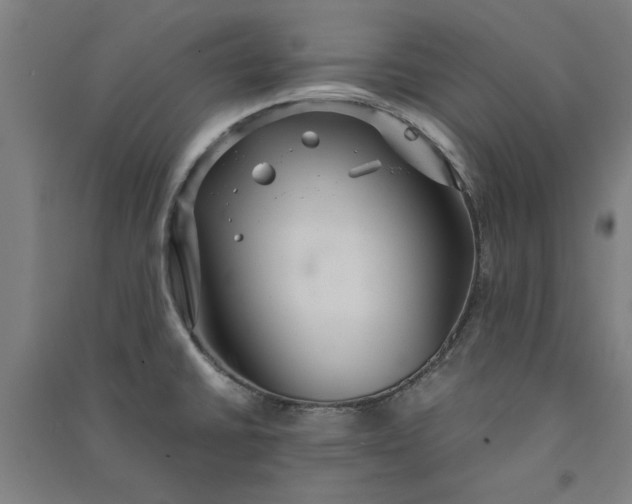 X0000091081430200708201423