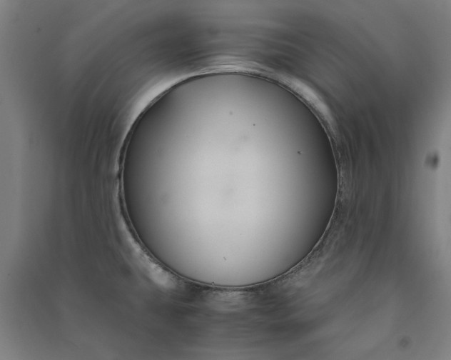 X0000091081431200708201423