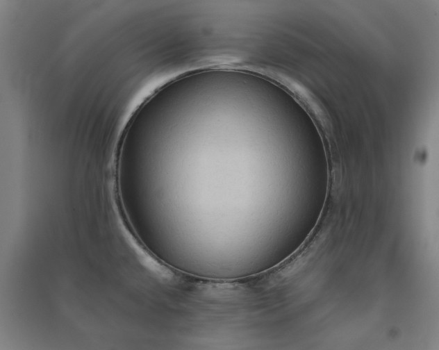 X0000091081432200708201423