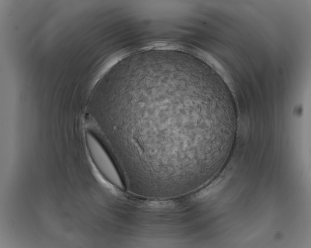 X0000091081433200708201423