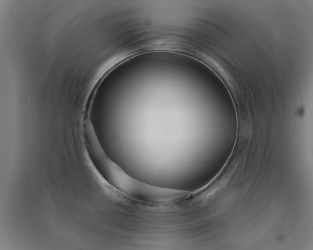 X0000091081434200708201423