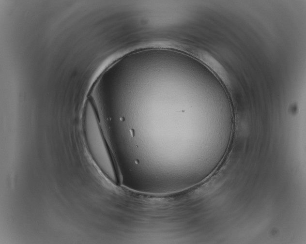 X0000091081436200708201423