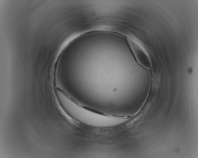 X0000091081437200708201423