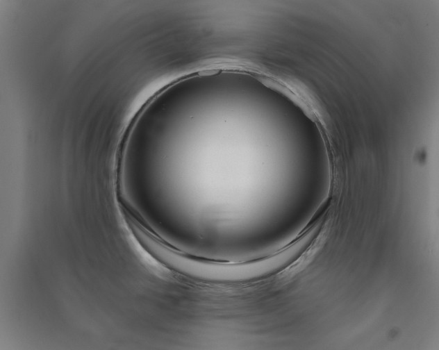 X0000091081438200708201423