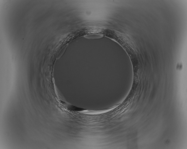 X0000091081441200708201422