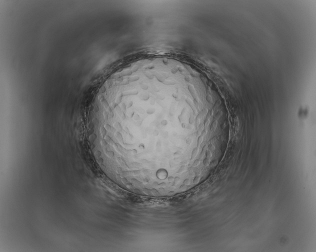 X0000091081446200708201422