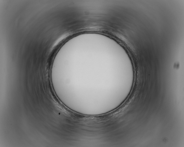 X0000091081450200708201422