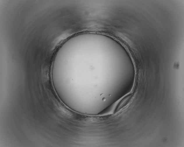 X0000091081451200708201422