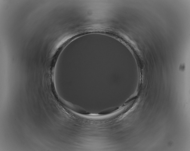 X0000091081453200708201422