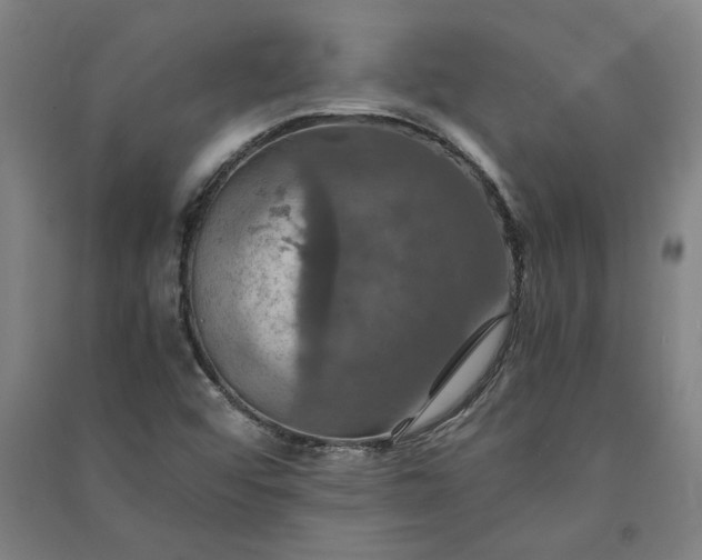 X0000091081456200708201422