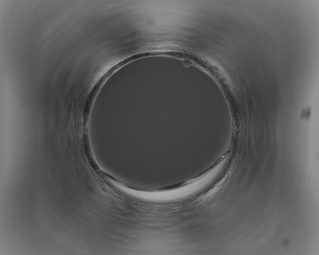 X0000091081457200708201422