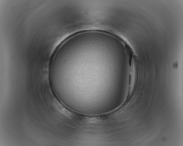 X0000091081460200708201422