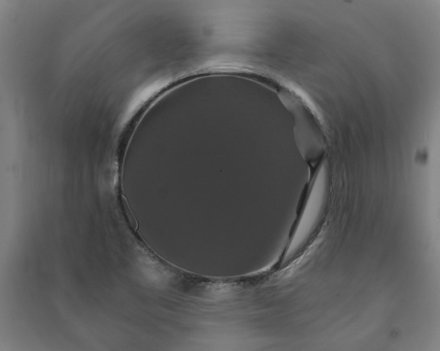 X0000091081461200708201422