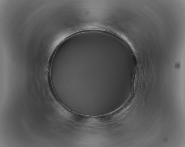 X0000091081463200708201422