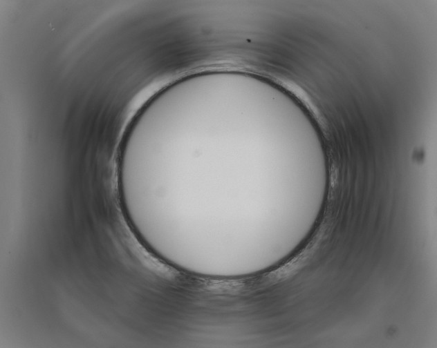 X0000091081466200708201422