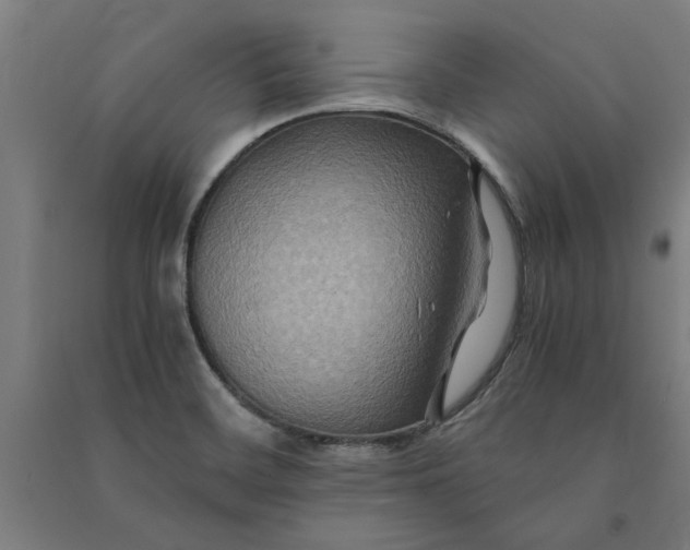 X0000091081468200708201421