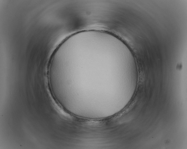 X0000091081470200708201421