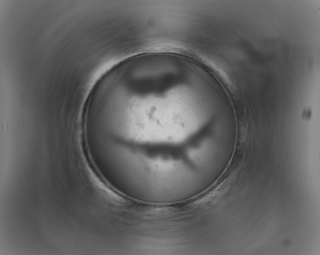 X0000091081471200708201421