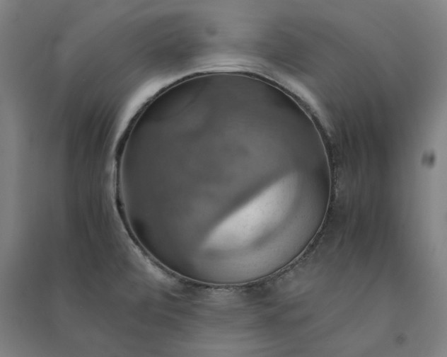 X0000091081472200708201421