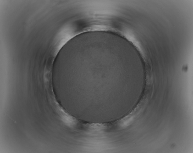 X0000091081473200708201421