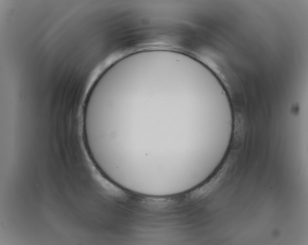 X0000091081474200708201421