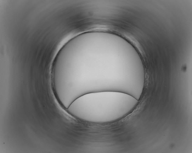 X0000091081475200708201421