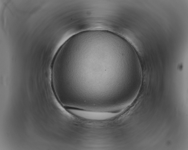 X0000091081476200708201421