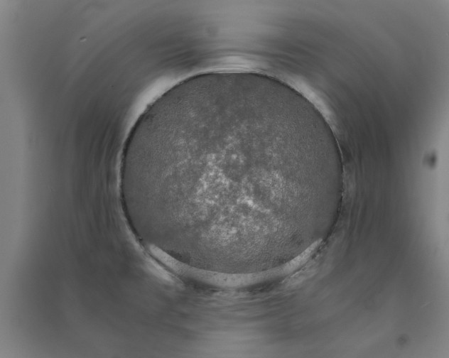 X0000091081477200708201421