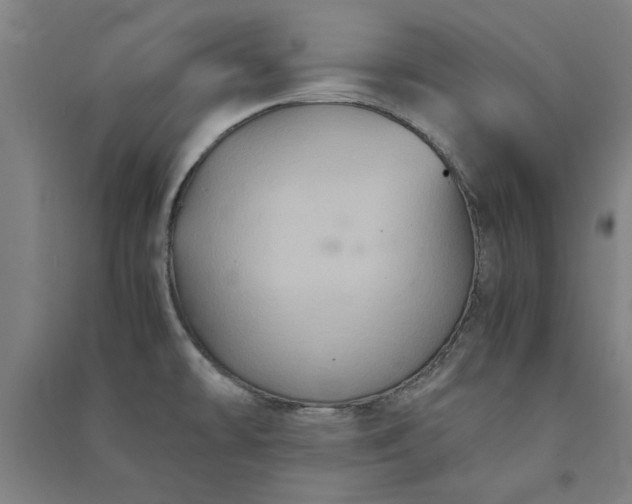 X0000091081478200708201421