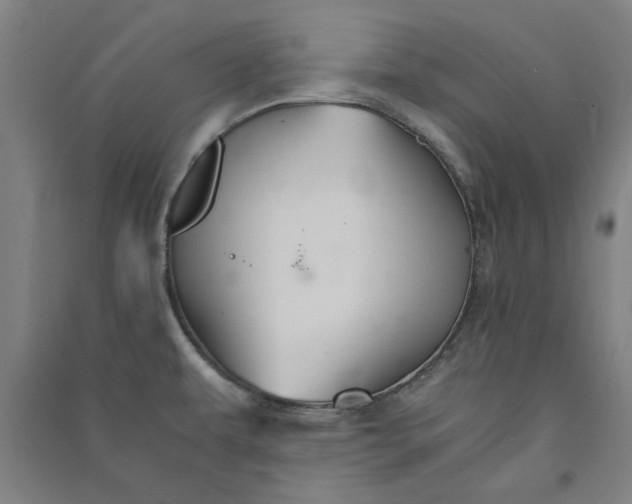 X0000091081479200708201421