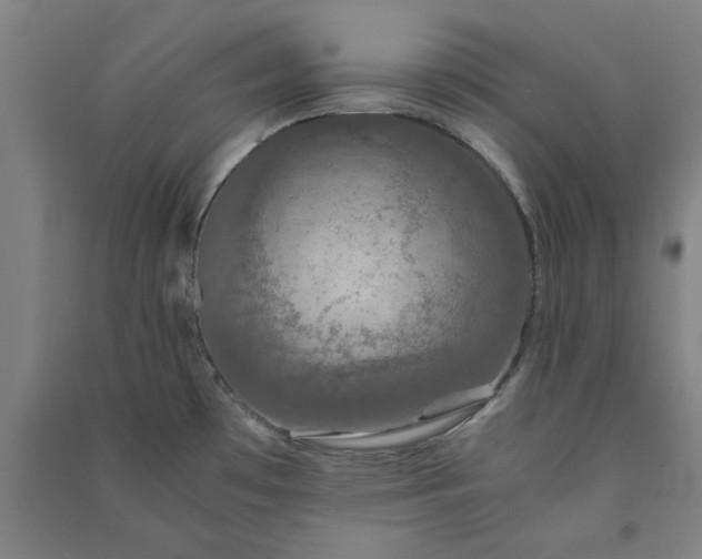 X0000091081481200708201421