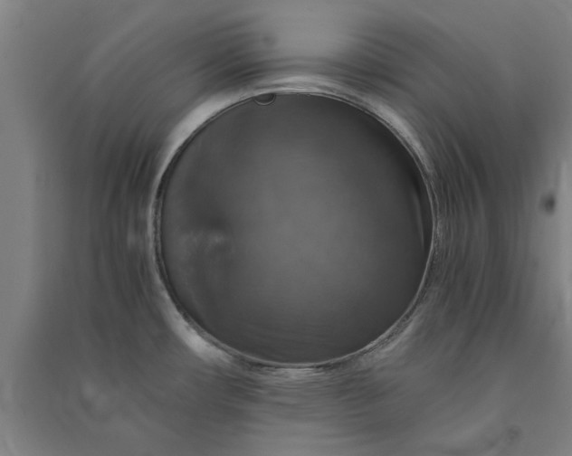 X0000091081482200708201421