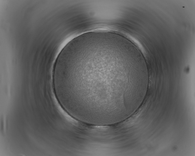 X0000091081483200708201421