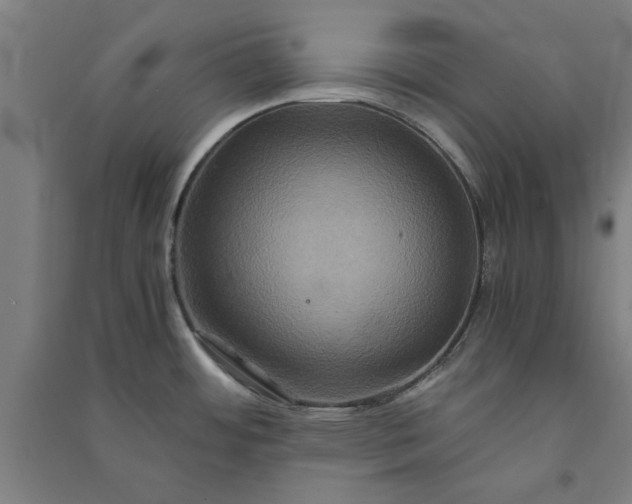 X0000091081484200708201421