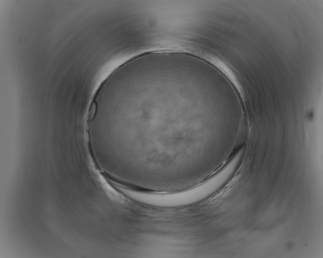 X0000091081485200708201421