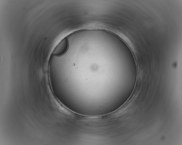 X0000091081486200708201421