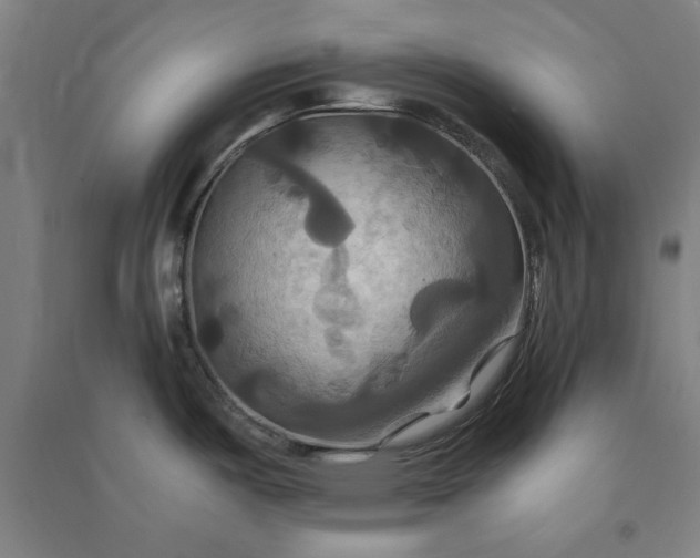 X0000091081487200708201421