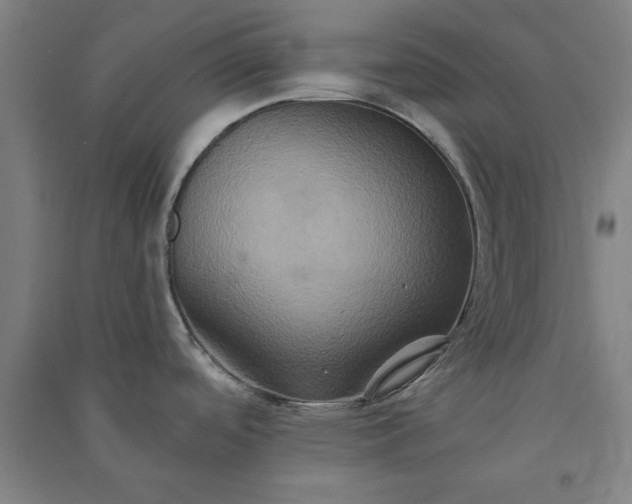 X0000091081488200708201421