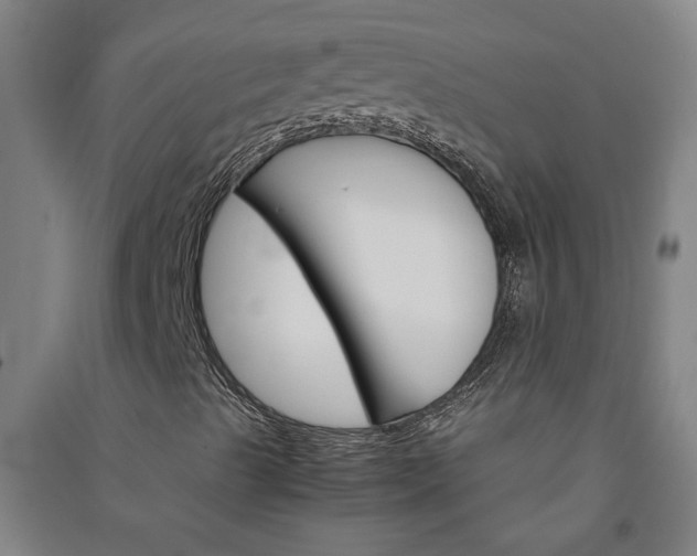 X0000091081489200708201421