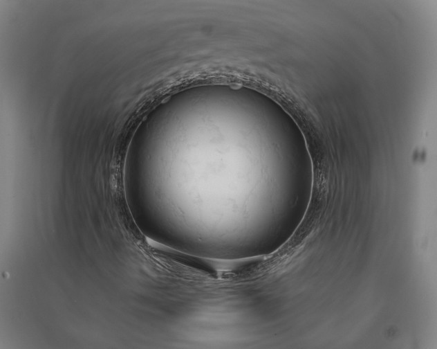 X0000091081490200708201421