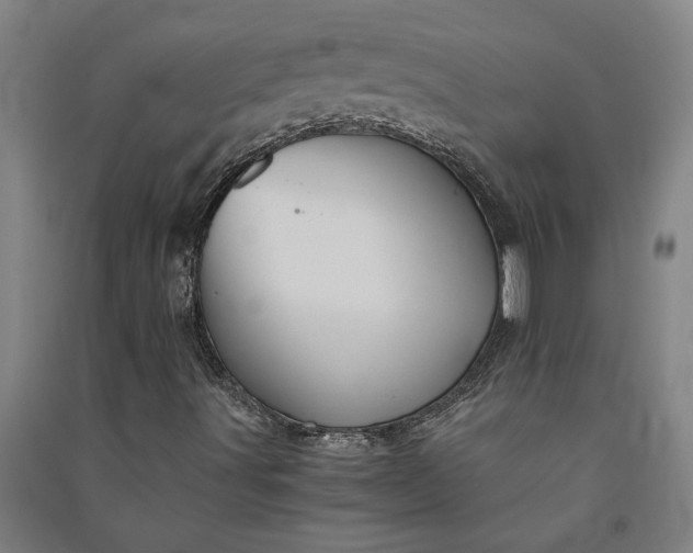 X0000091081491200708201421