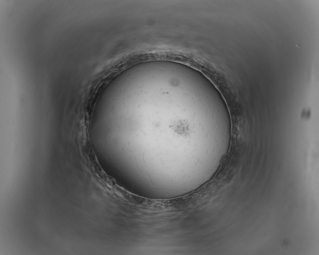 X0000091081493200708201421