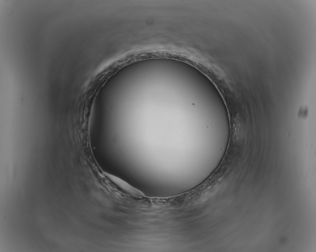 X0000091081494200708201421