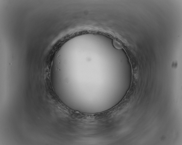 X0000091081495200708201421