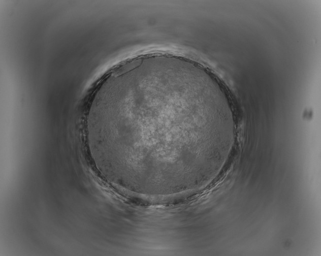 X0000091081496200708201421