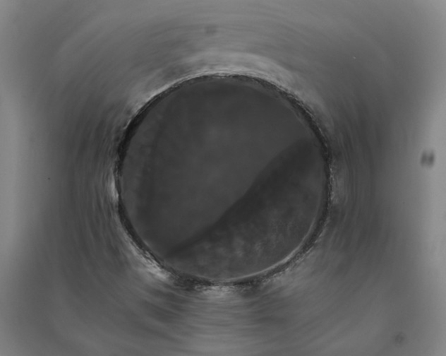 X0000091081497200708201421