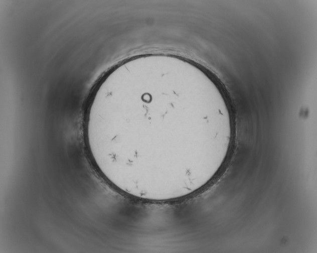 X0000091081498200708201421