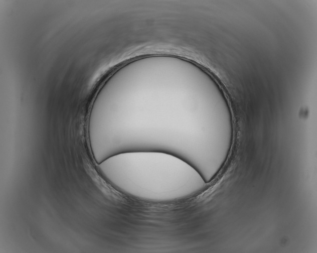 X0000091081499200708201421