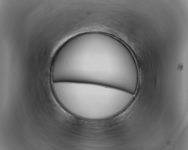 X0000091081500200708201421