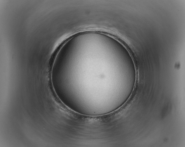 X0000091081501200708201421